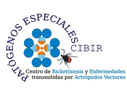 cibir-logo02